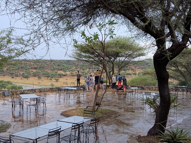 PXL 20251220 152441774