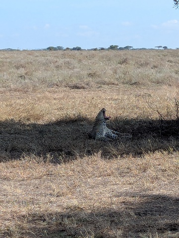 PXL 20251222 060628587