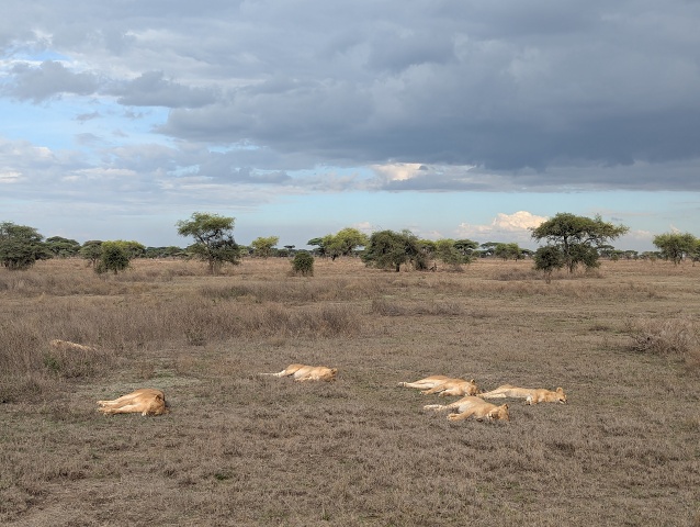 PXL 20251222 140514339