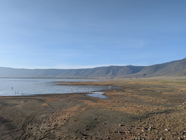 PXL 20251224 044442081