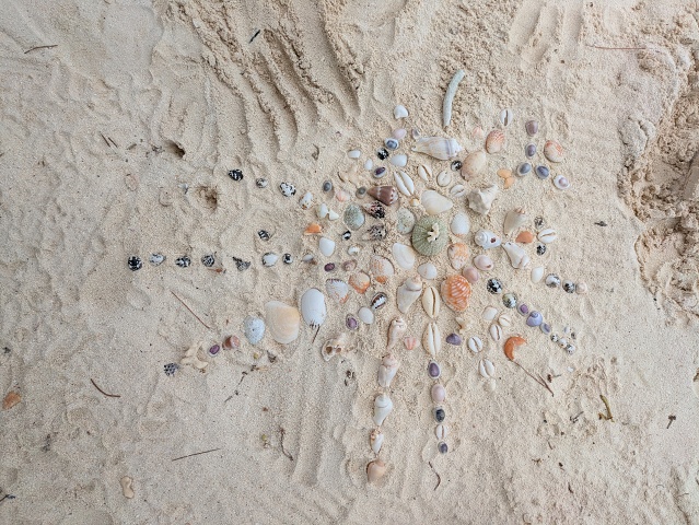 PXL 20251230 080938069